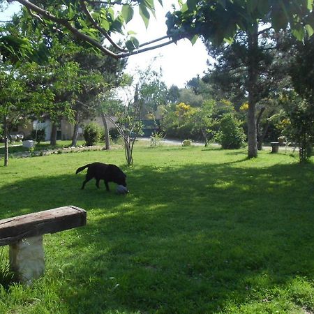 佩蒂特弗里格耶住宿加早餐旅馆 罗什福尔-迪加尔 外观 照片