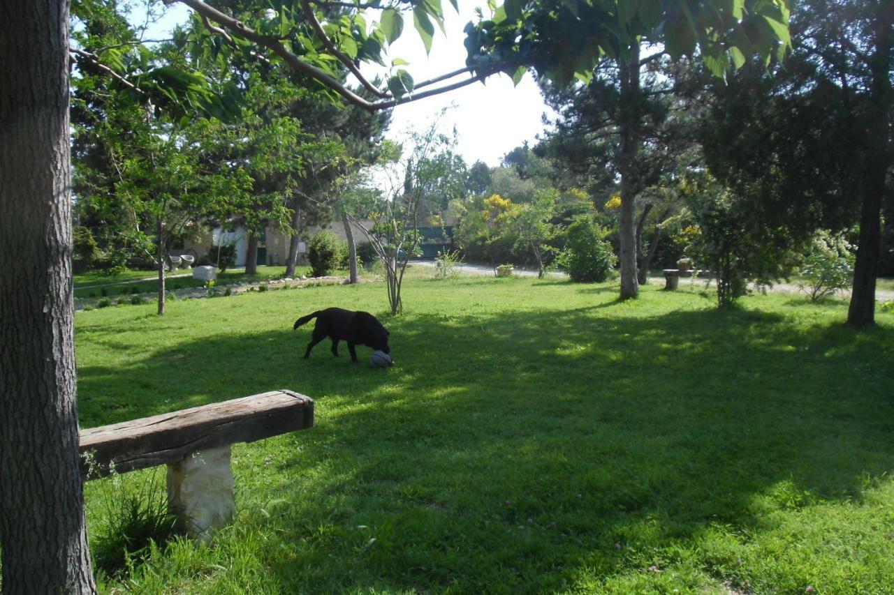 佩蒂特弗里格耶住宿加早餐旅馆 罗什福尔-迪加尔 外观 照片